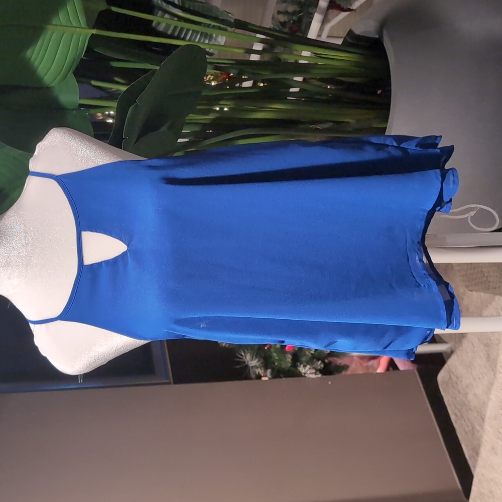 Dressy sleeveless blue Top